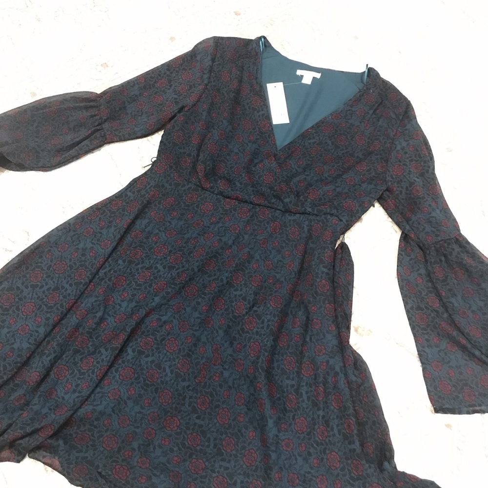 Francesca’s dress
